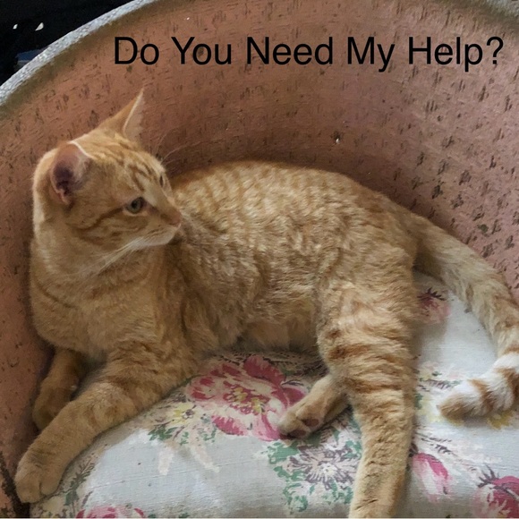 Group of 4 OLD NAVY Summer Shirts Prior Season Tank Top Style Size Large - Picture 8 of 8